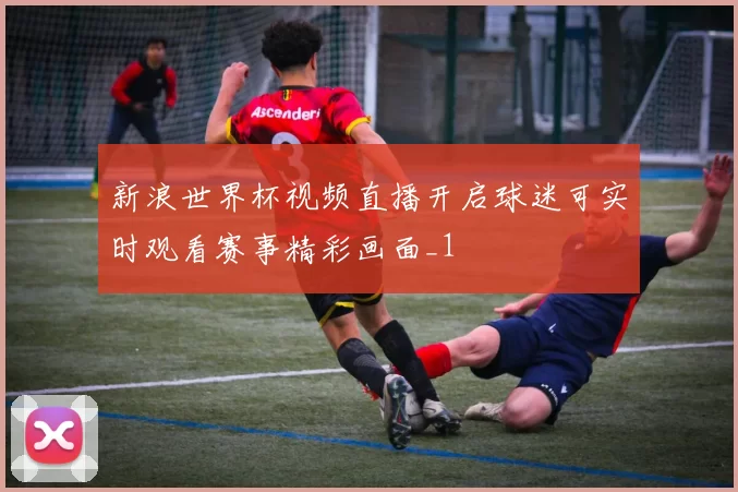 新浪世界杯视频直播开启球迷可实时观看赛事精彩画面_1