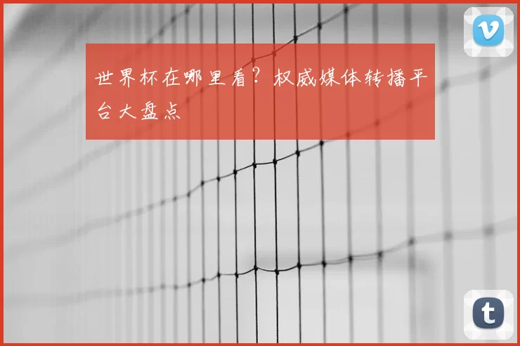 世界杯在哪里看？权威媒体转播平台大盘点
