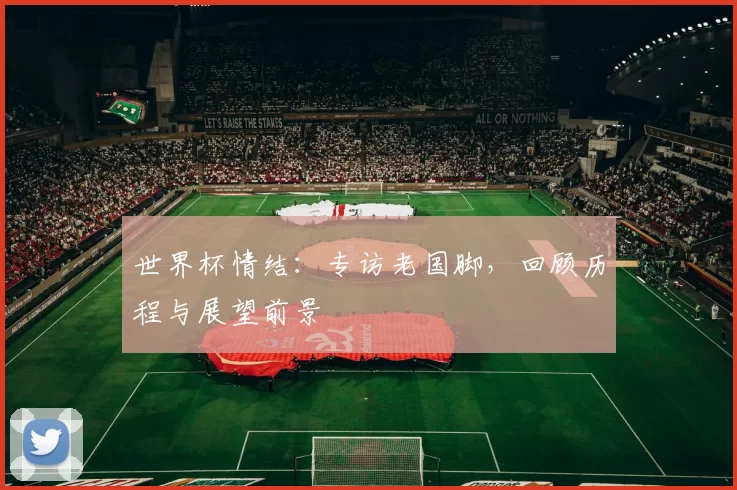 世界杯情结:专访老国脚,回顾历程与展望前景